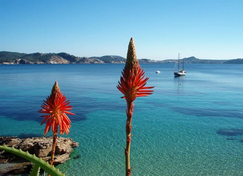 -13% Last Minute Spania 2026